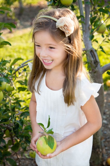 Apple_O_033